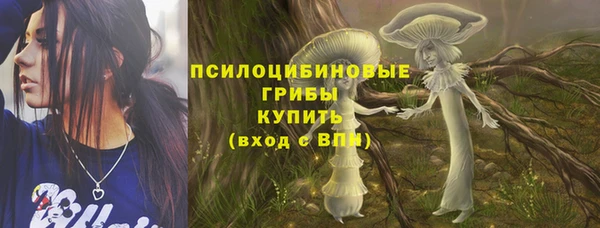 гидропоника Абаза