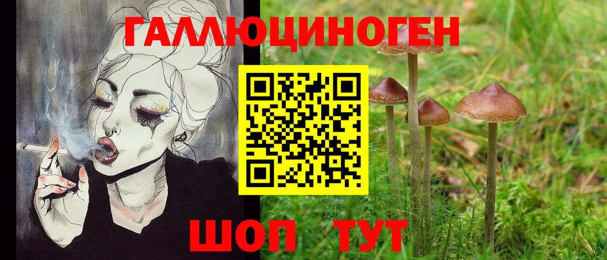 Галлюциногенные грибы мухоморы Лесозаводск