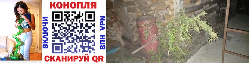 Бошки марихуана гибрид Лесозаводск